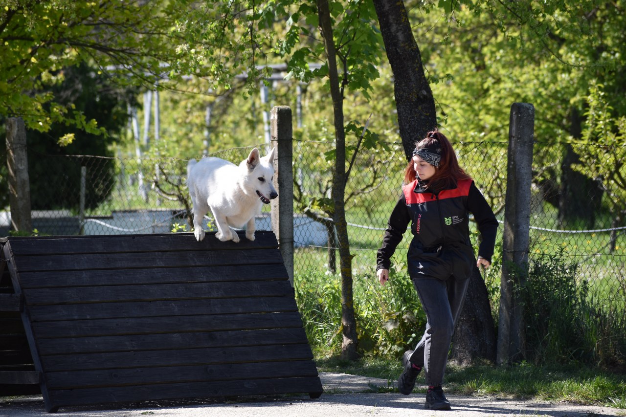 DSC_0233_1280x853.JPG